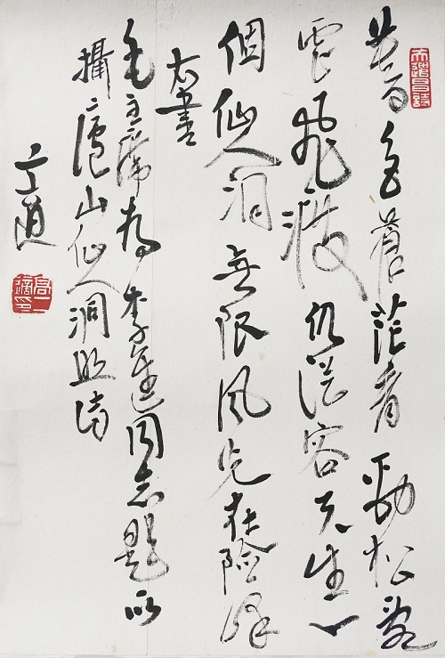 高二適書法《為李進同志題所攝廬山仙人洞照》